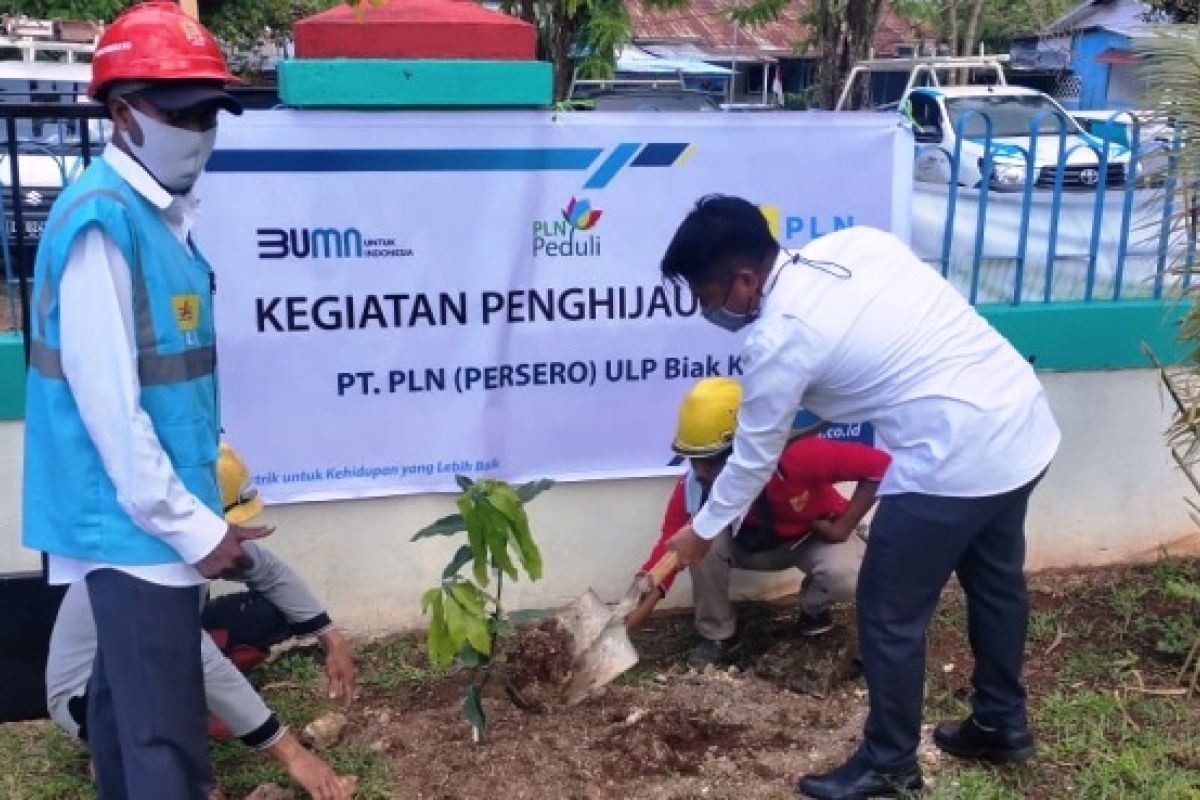 Program lingkungan PT PLN UP3 Biak tanam 100 pohon produktif