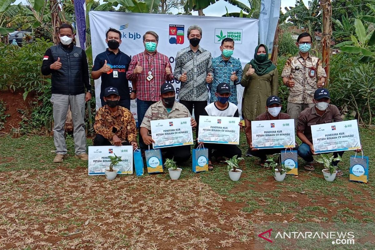 Pemkot Bogor gandeng  BJB dan Minaqu bantu modal petani tanaman hias