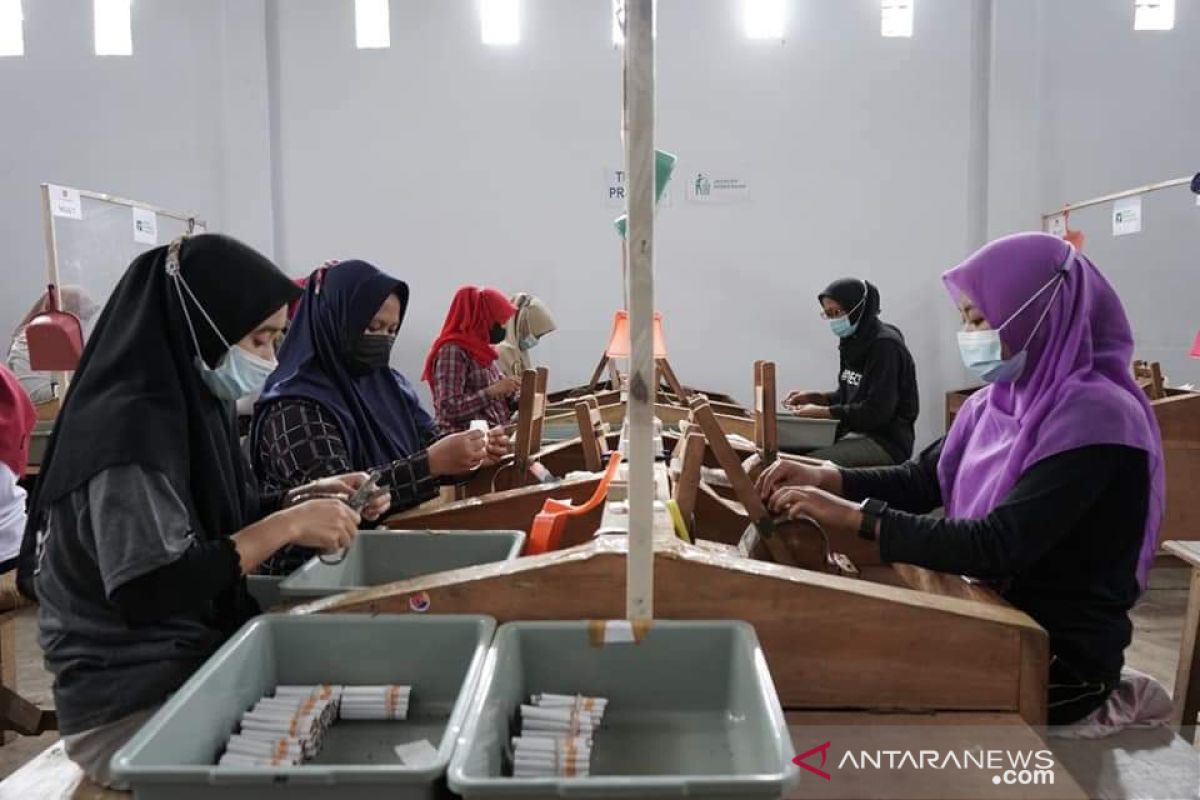 Buruh tembakau di Lumajang diusulkan dapat BLT cukai rokok