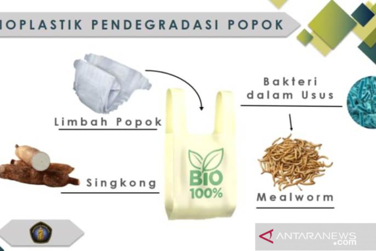 Bioplastik singkong solusi atasi limbah  popok bayi karya mahasiswa UB