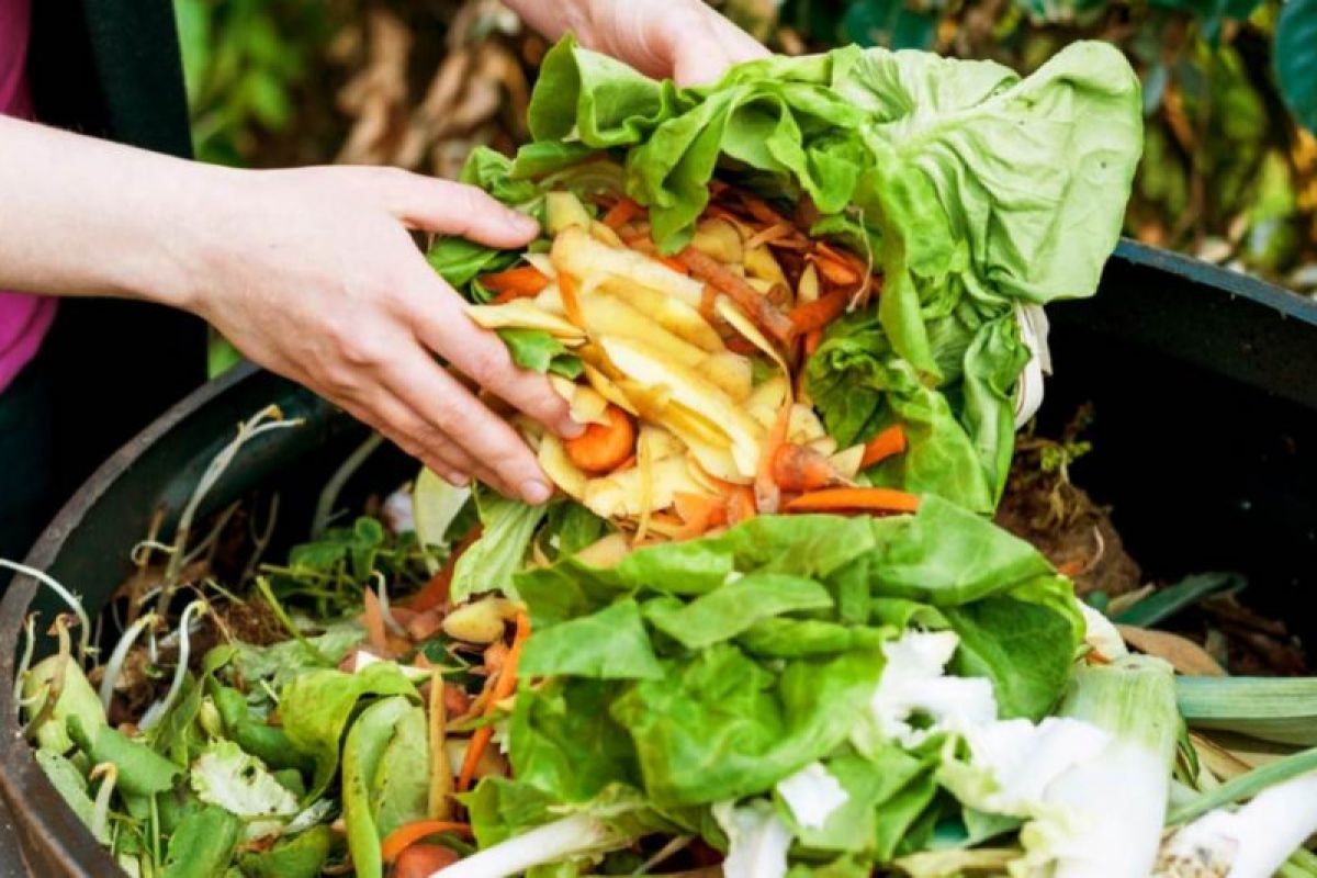 Dapat diolah, Kirin #SisaBisa ingatkan tak buang bahan makanan sisa dapur