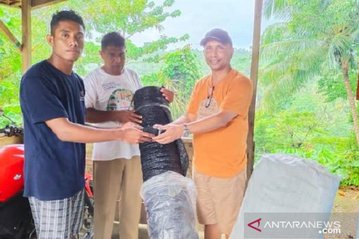 Pemuda Lohiatala Maluku kembangkan bibit pala sambung pucuk
