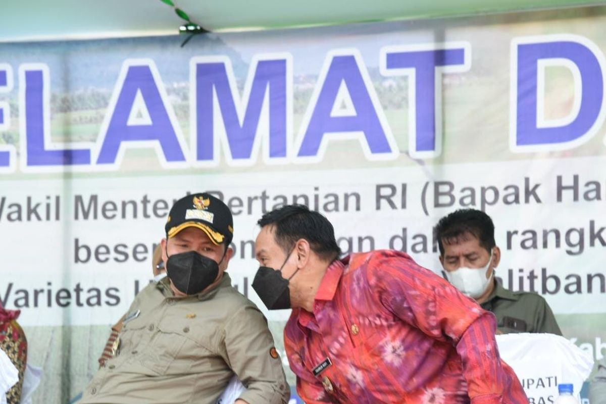 100 hari memimpin, pasangan Satono - Rofi hadirkan berobat gratis