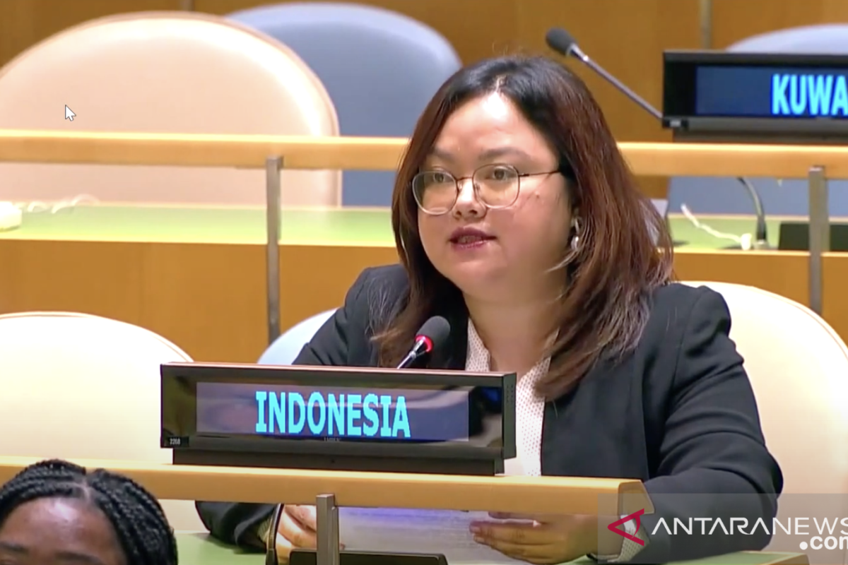 Indonesia sebut Vanuatu tutup mata soal kelompok separatis kriminal bersenjata