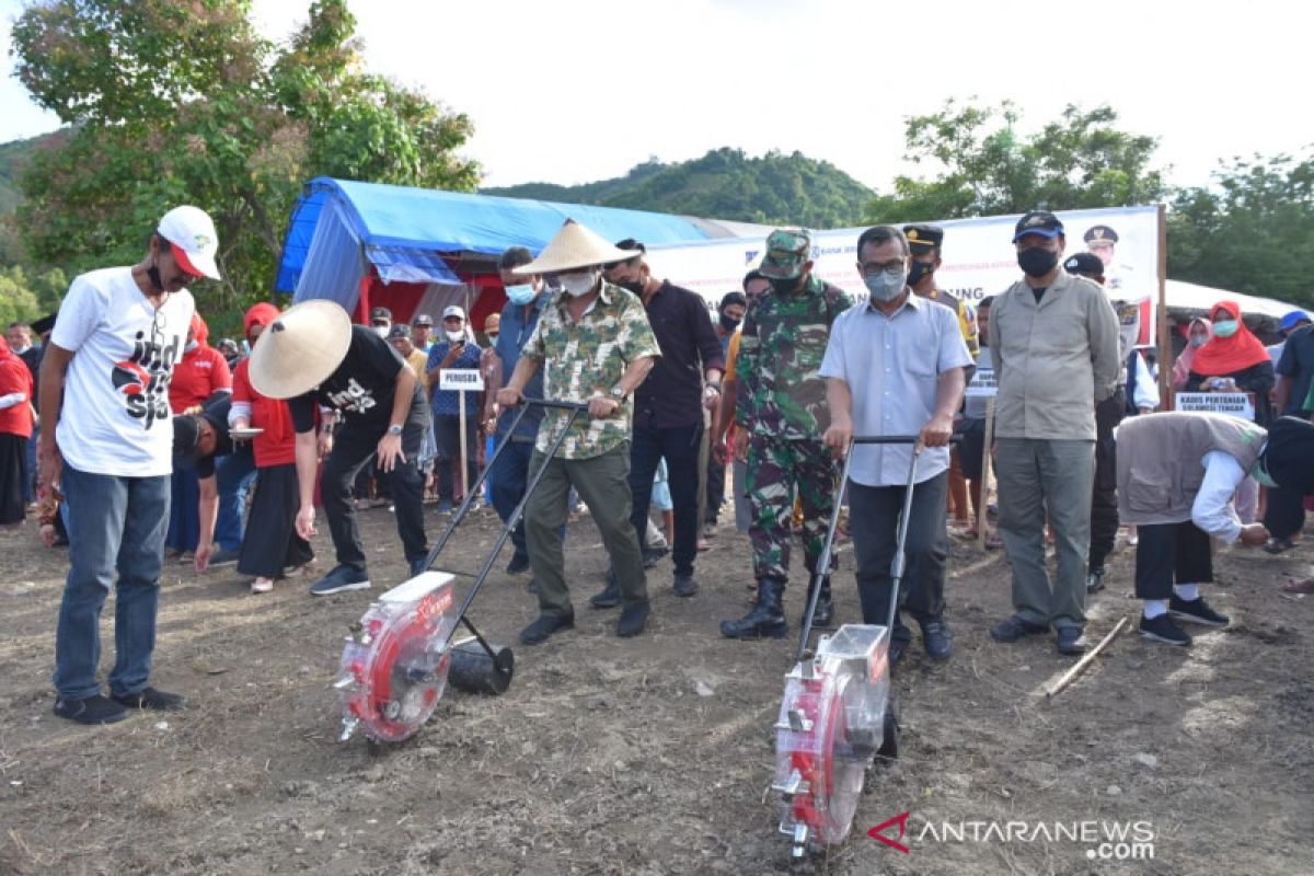 Pemprov Sulteng  dukung pengembangan jagung seluas 25 Ha di Parimo