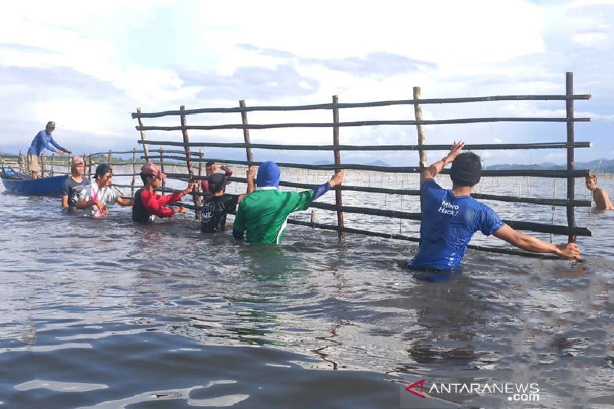 BRGM: Rehabilitasi mangrove di Kepulauan Riau tingkatkan usaha nelayan