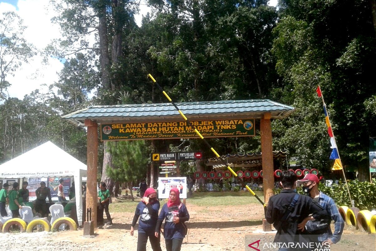 Menyelamatkan paru-paru dunia, suara dari Kerinci-Seblat