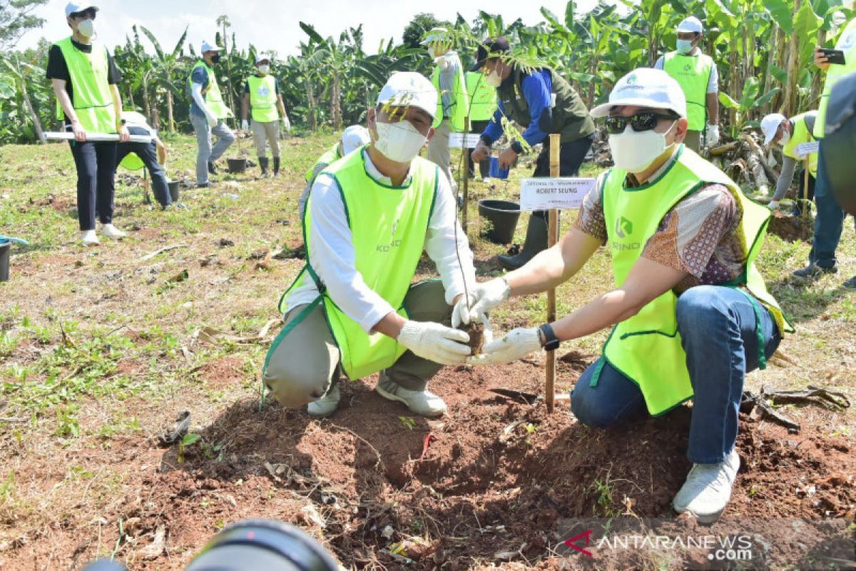 Pemkab Bogor bangun hutan kota di Pondok Rajeg