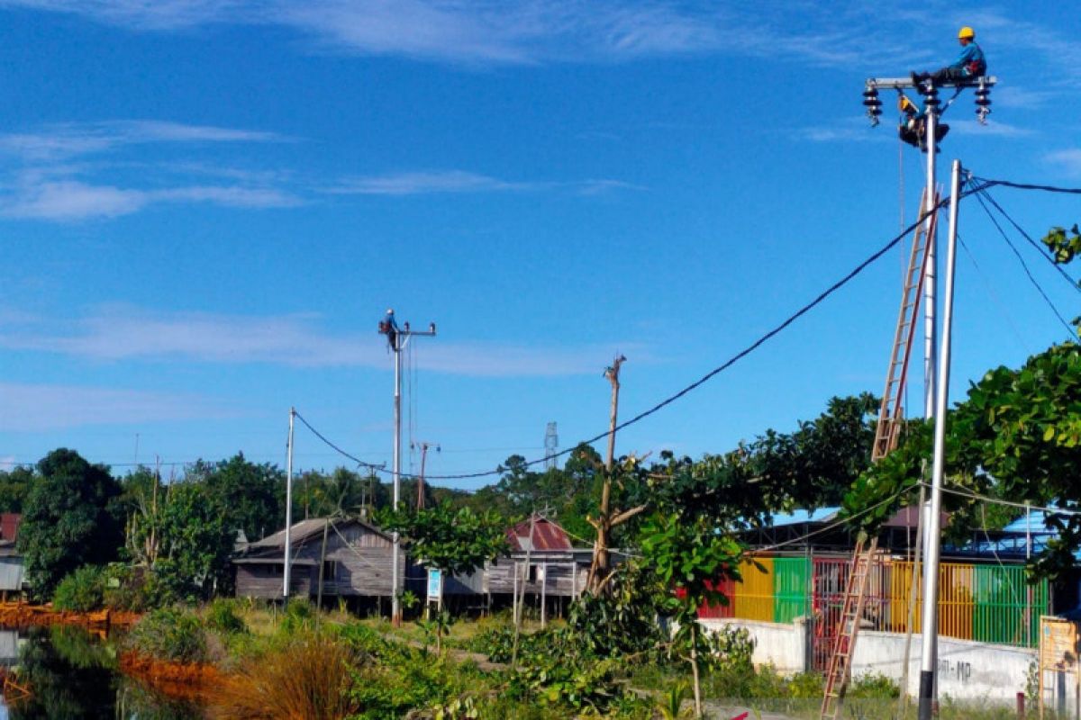 PLN suplai listrik untuk kawasan lumbung pangan di Kalimantan Tengah