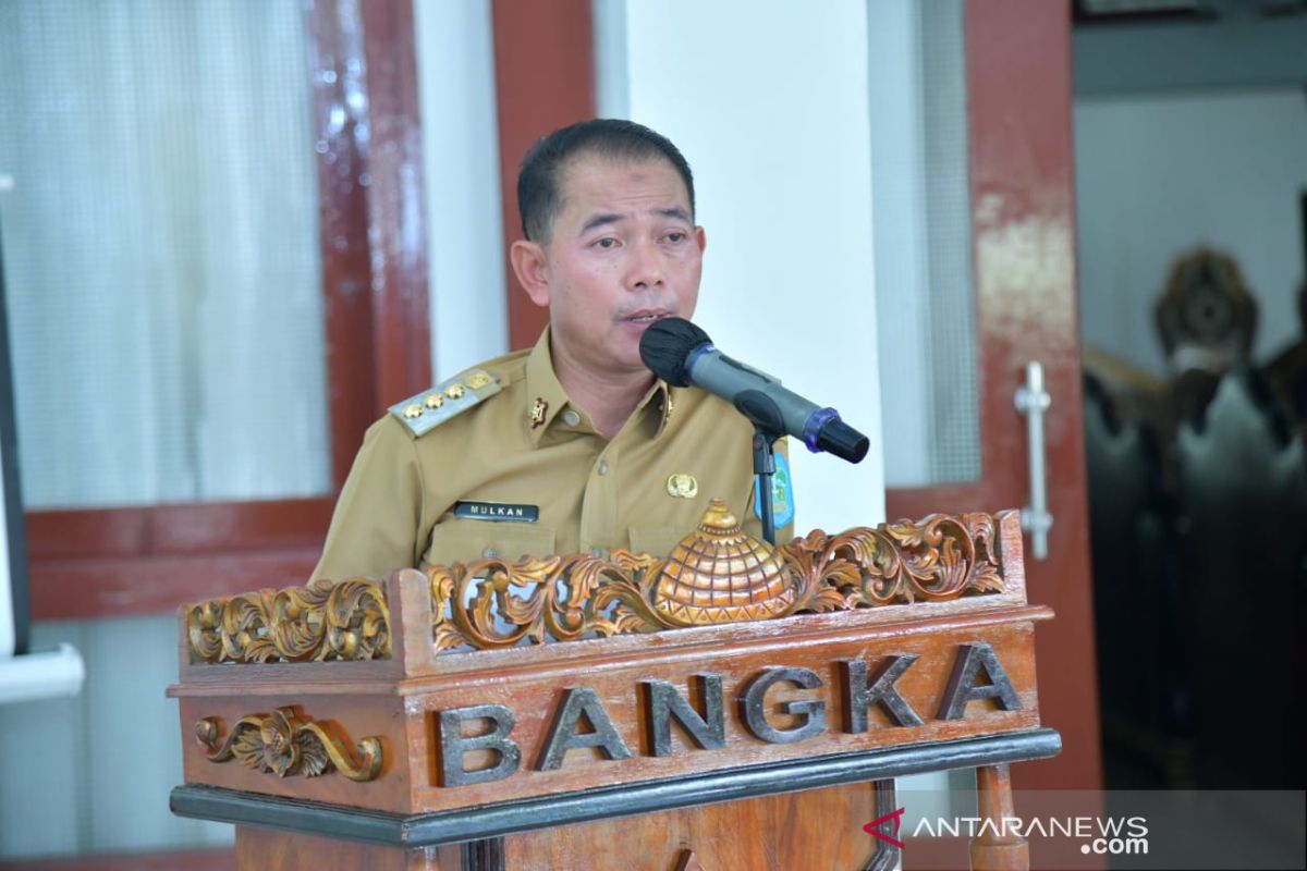 Bupati Bangka ajak tenaga pendamping profesional bangun desa