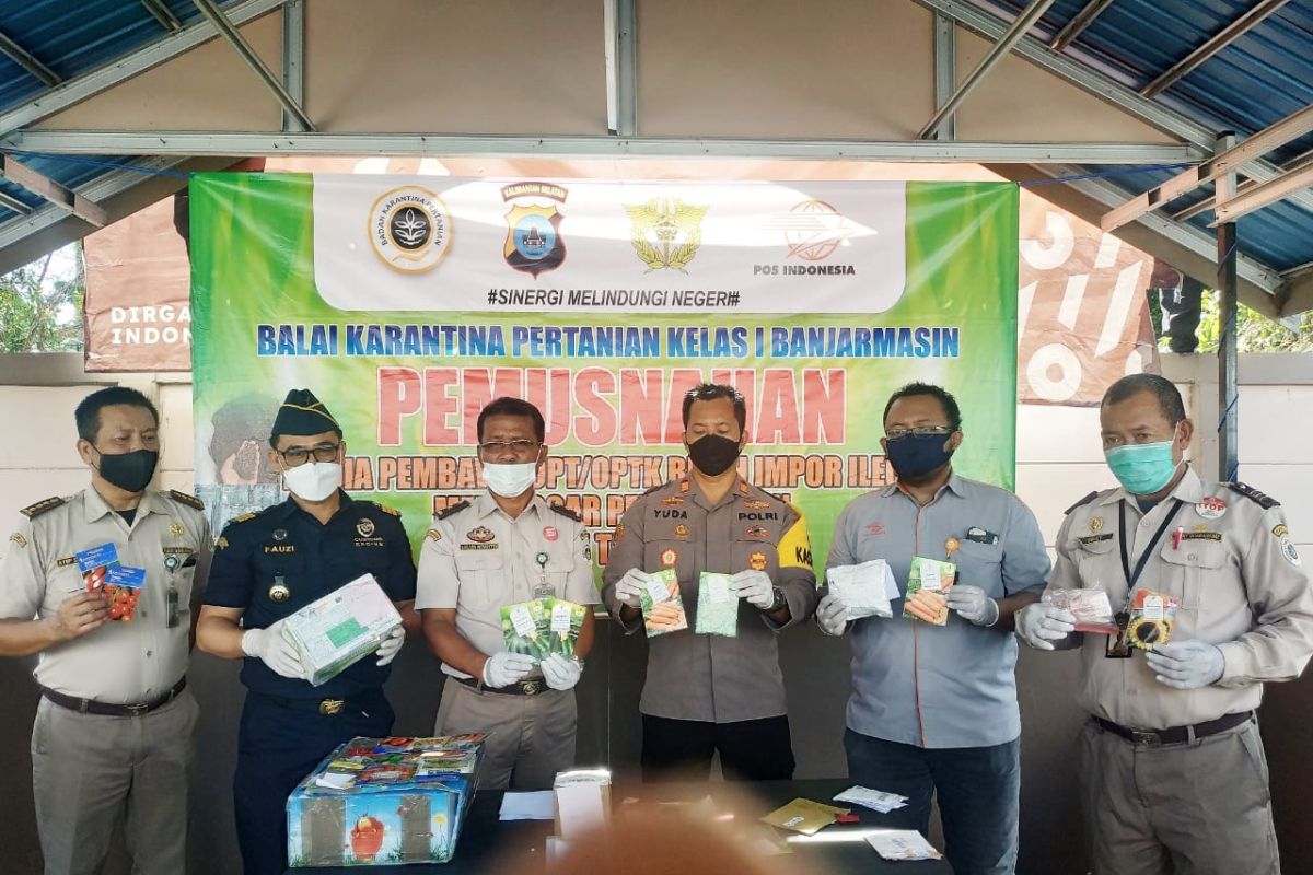 Balai Karantina Banjarmasin musnahkan benih impor ilegal dari tujuh negara