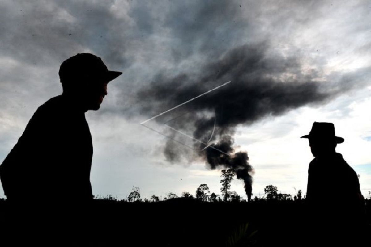 Kebakaran Sumur Minyak Ilegal Di Batanghari Antara News Jambi