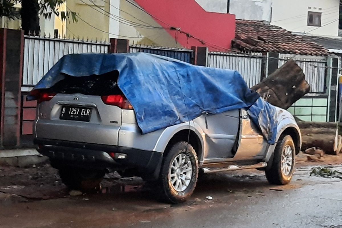 Mobil tertimpa pohon tumbang di Depok, dua orang terluka