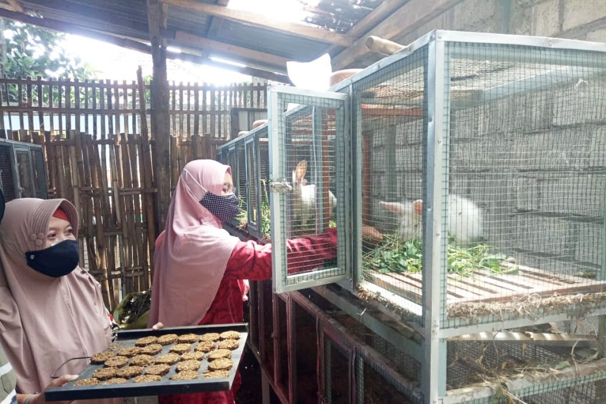 KUBE di Kota Kediri buat biskuit biosuplemen untuk pakan kelinci