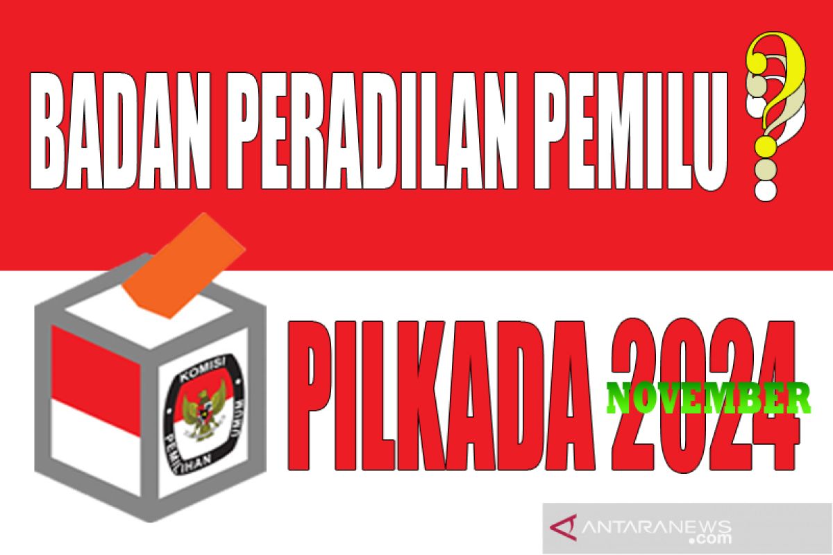 Badan peradilan khusus harusnya dibentuk sebelum Pilkada 2024