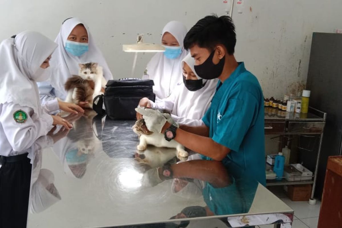 Dinas Pertanian Tabalong sosialisasi rabies bagi pelajar