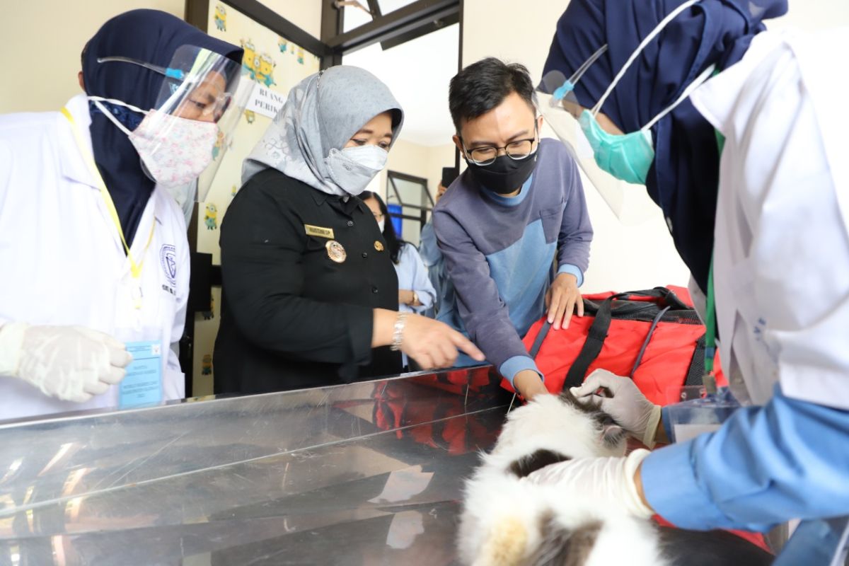 Pemkab Sleman menyelenggarakan vaksinasi rabies gratis