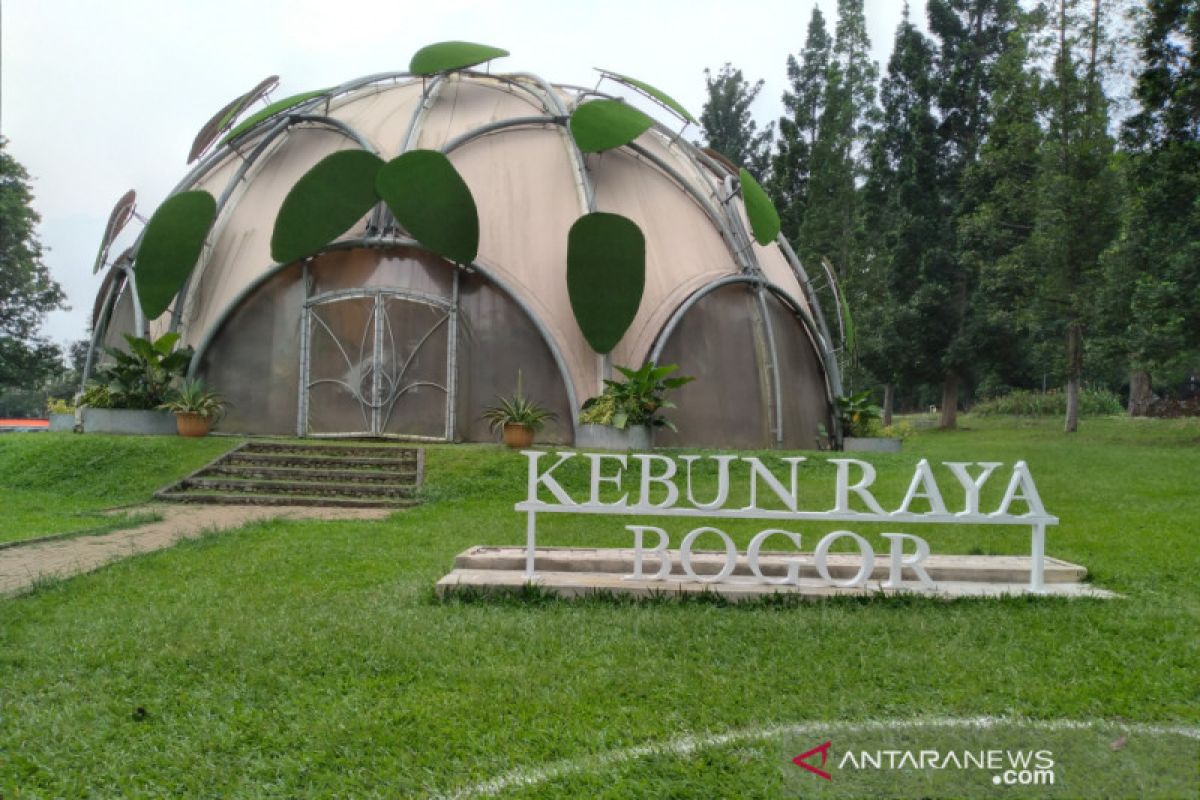 Wali Kota Bogor minta operasional wisata malam Kebun Raya dihentikan