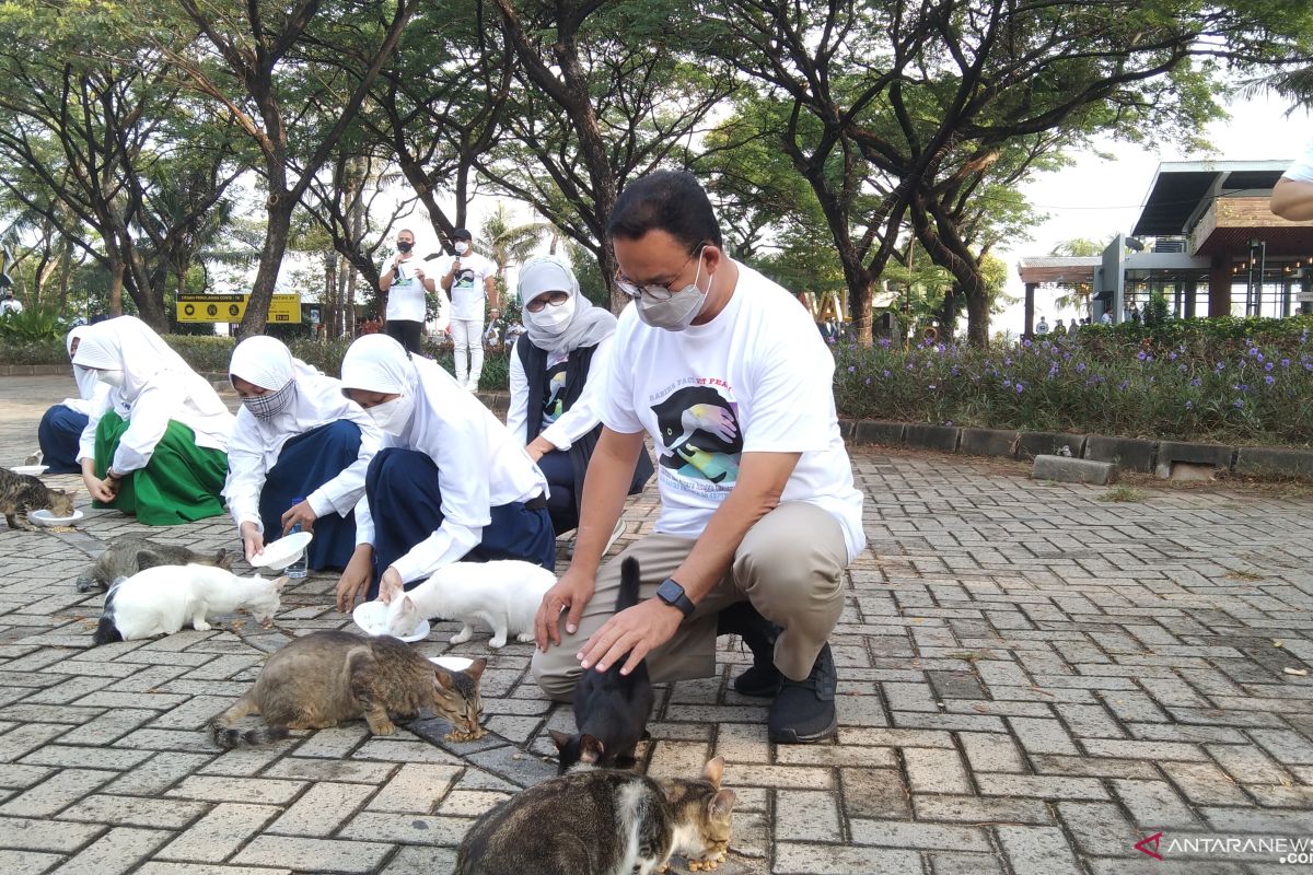 Anies peringati Hari Rabies dengan beri makan kucing liar