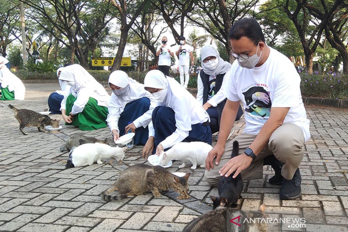Anies beri makan kucing liar di Ancol peringati Hari Rabies