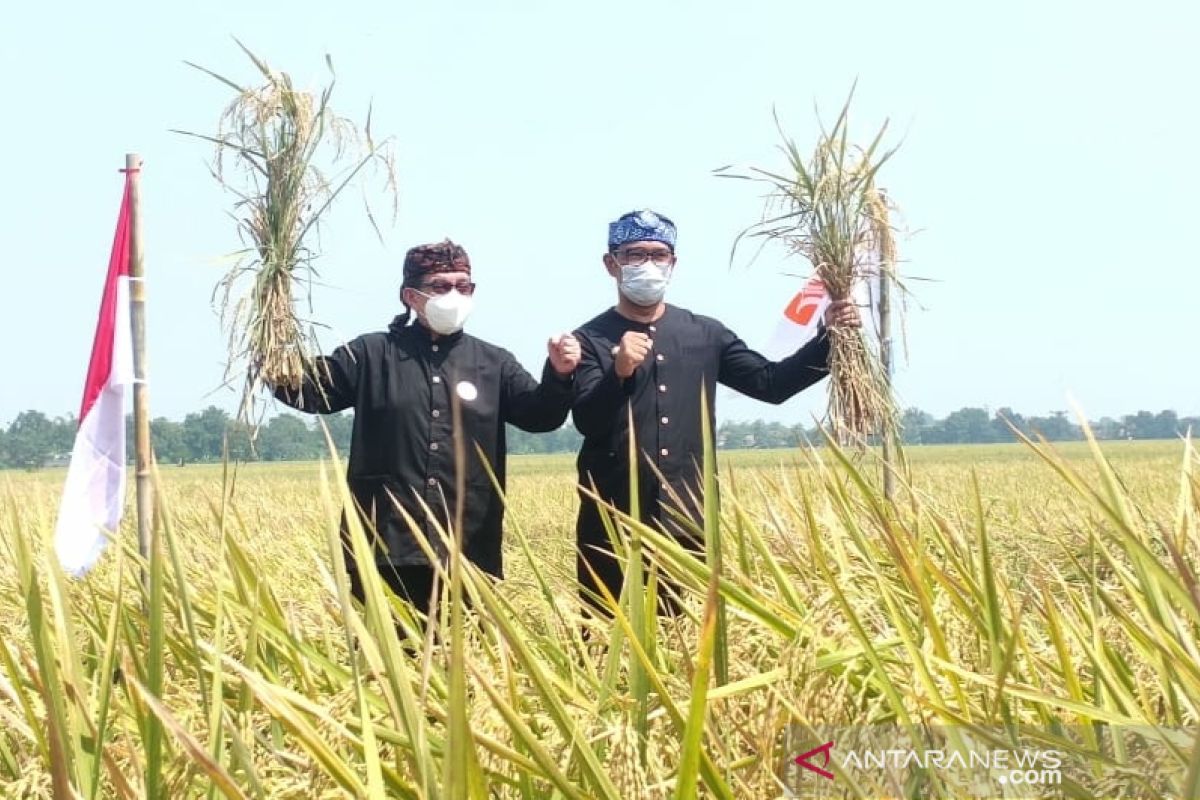 Ketua Majelis Syura PKS  sampaikan agar negara lindungi dan sejahterakan petani