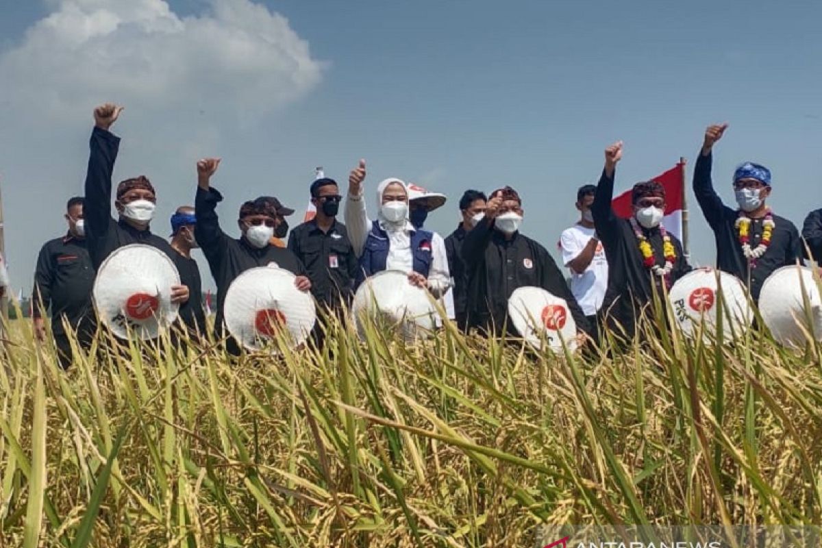 Tarik minat anak muda bertani, Pemprov Jabar seimbangkan teknologi dan sektor pertanian