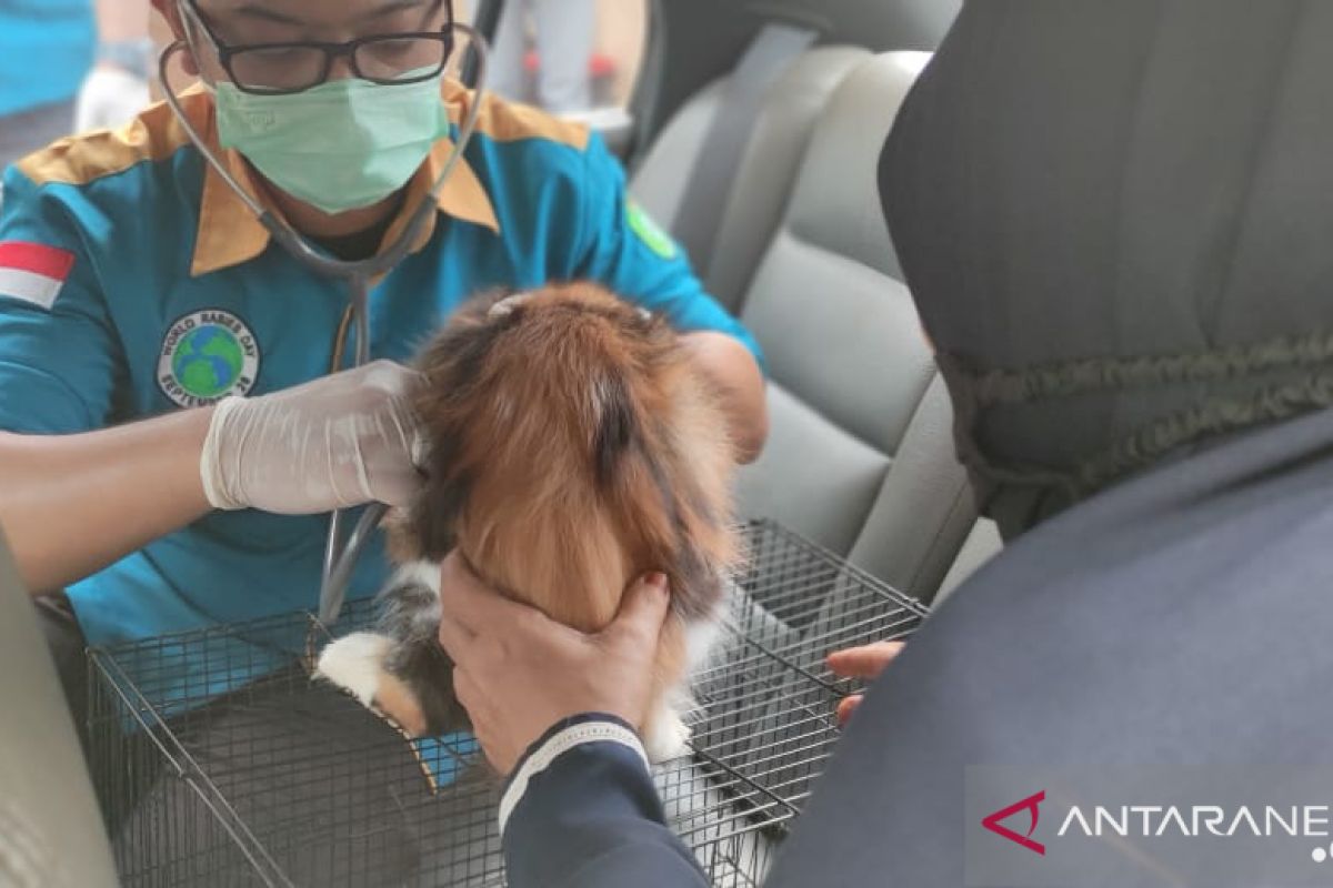 Kalbar tingkatkan partisipasi masyarakat lawan rabies