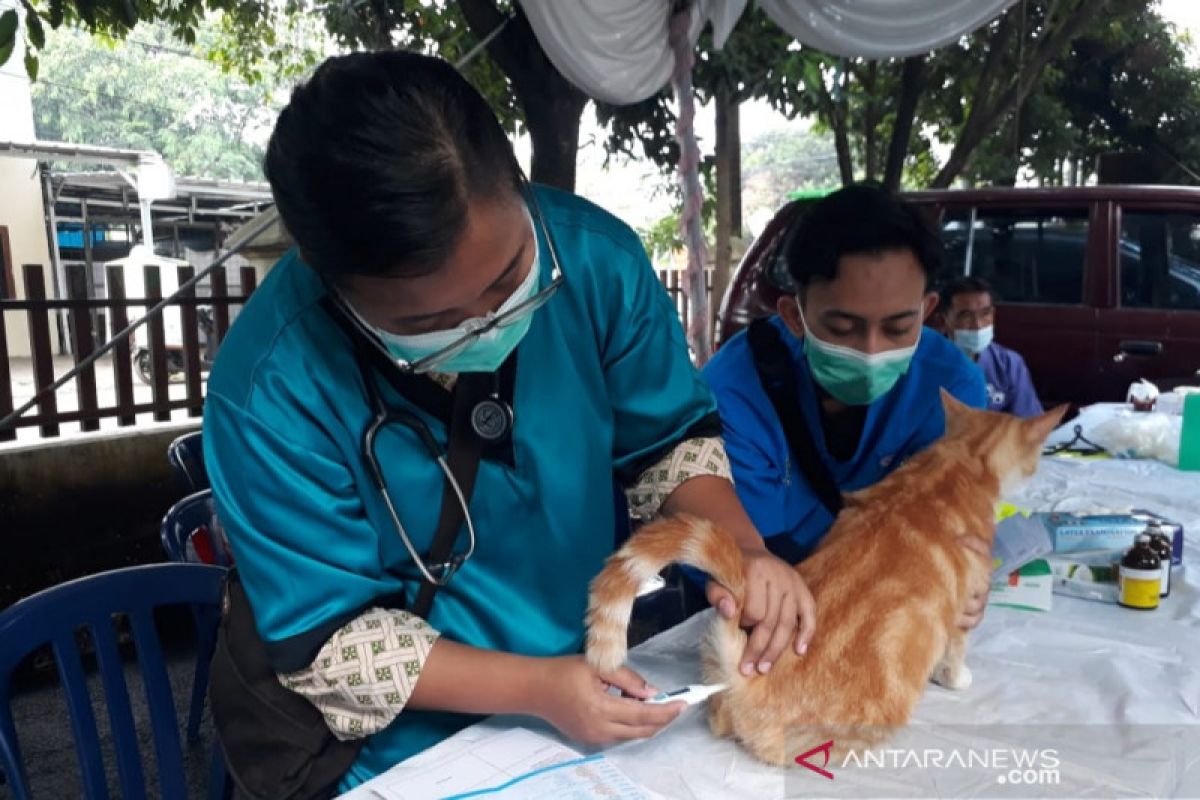 Hari Rabies Sedunia, Pemkot Bekasi beri vaksin gratis hewan peliharaan
