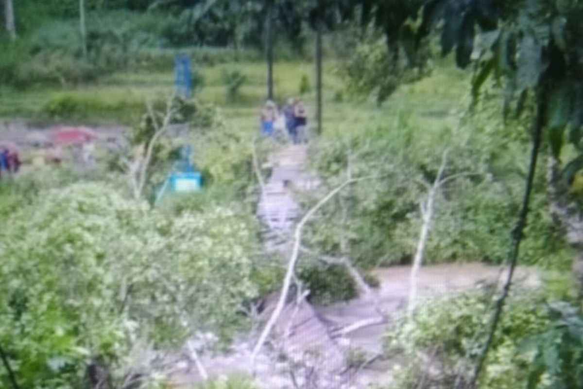 Jembatan gantung penghubung antar kampung di Dua Koto Pasaman ambruk, kerugian sebesar ini