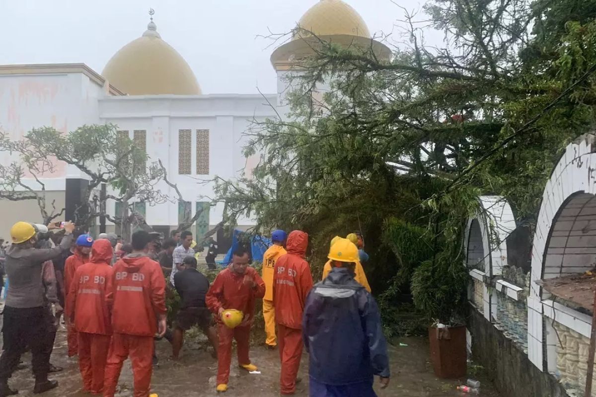 Pohon besar tumbang di Makam ulama besar Minangkabau, sebabkan 1 tewas, 3 luka-luka