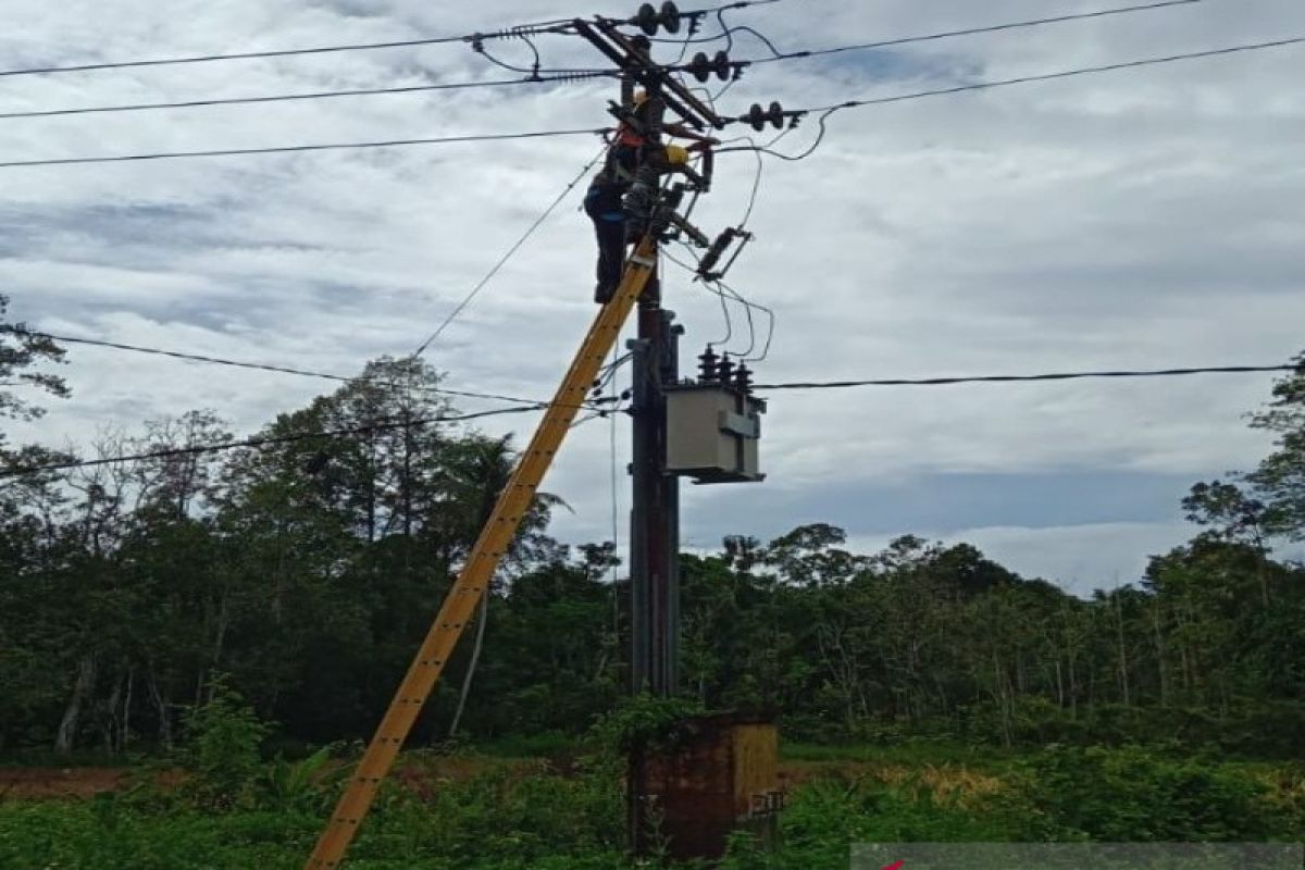 PLN sediakan pembangkit berkapasitas 230 kW di enam kampung Tambrauw