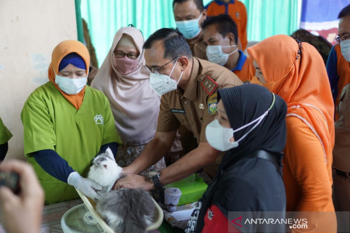 Pemkab OKU adakan vaksinasi rabies gratis hewan peliharaan warga