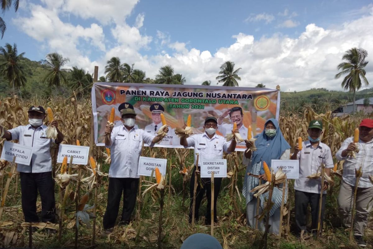 Pemkab Gorontalo Utara tingkatkan produktivitas komoditas jagung