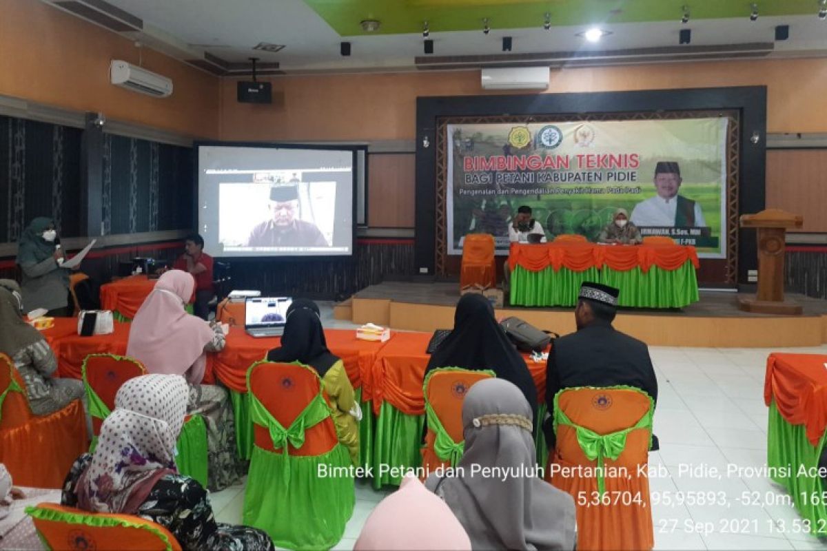 Kementan Ajak petani dan penyuluh di Aceh amankan produksi padi dari hama