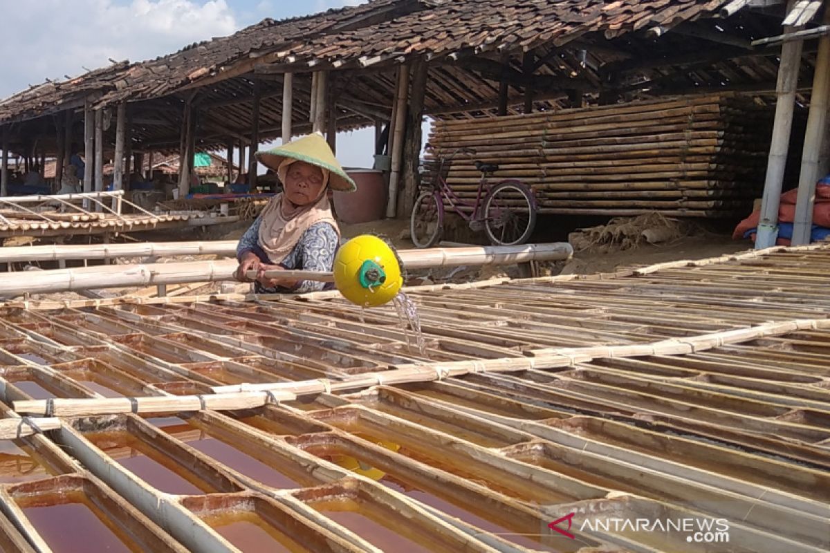 Petani garam di Kab. Grobogan nikmati harga jual tinggi