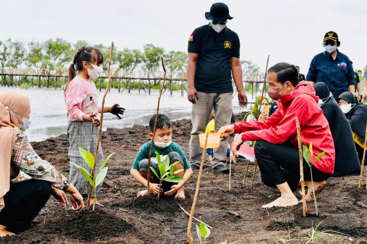 BRGM optimistic of mangrove rehabilitation reaching 34,000 hectares