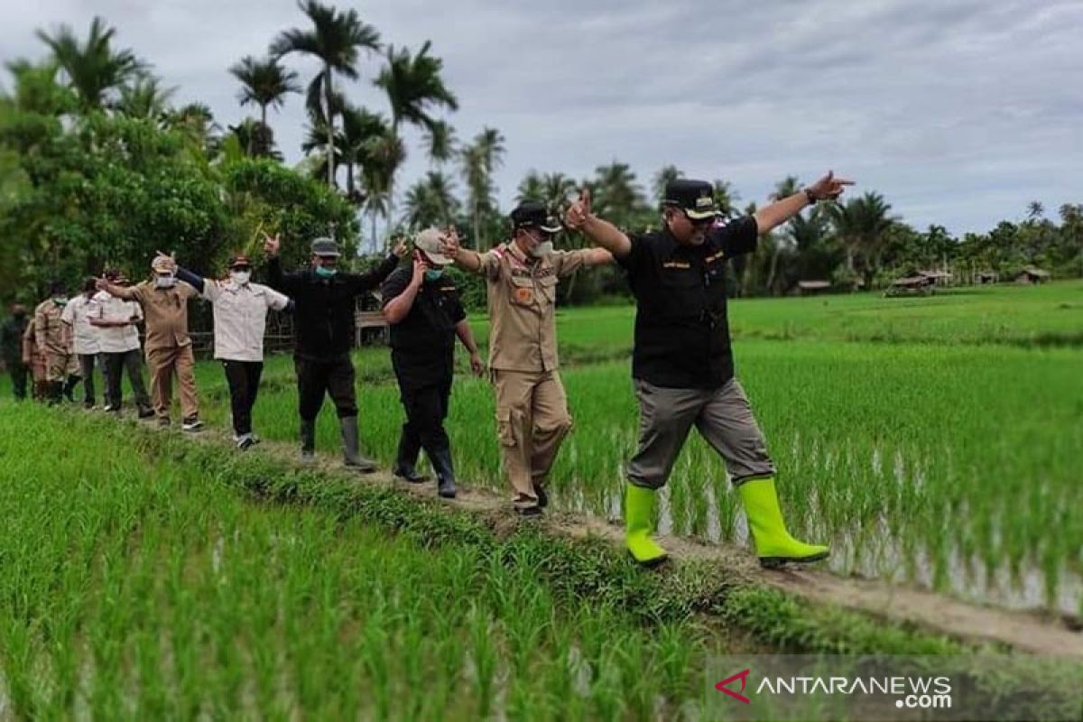 Simeulue buka 500 hektare sawah baru