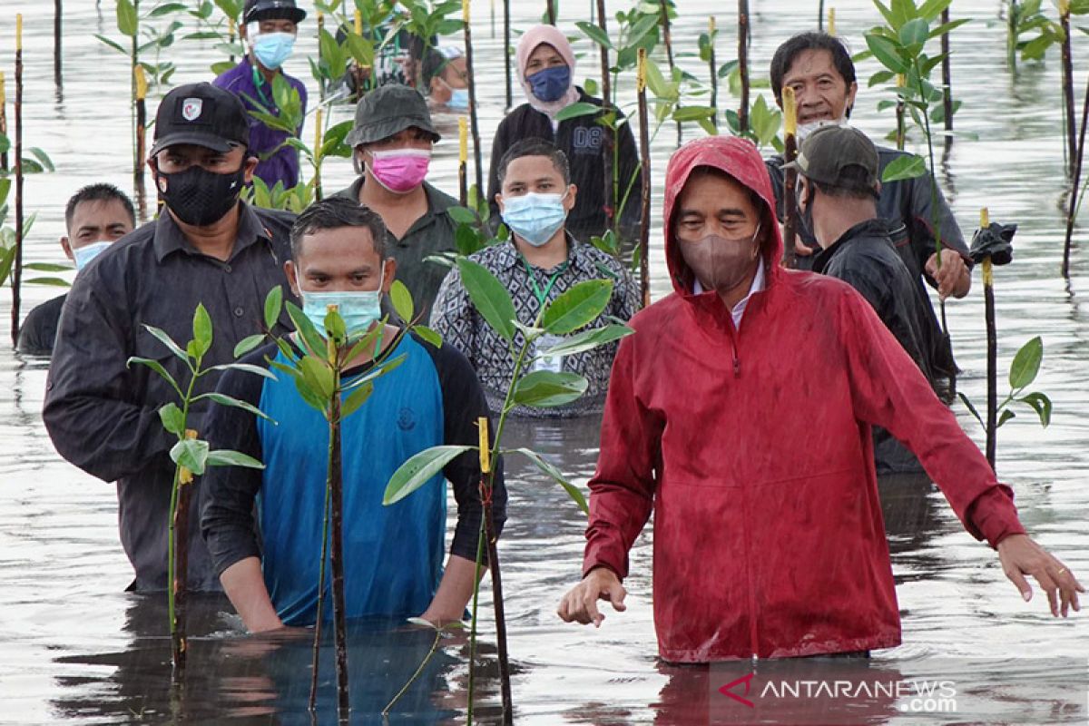 Jokowi wajibkan pelayanan publik rahasiakan NIK dan NPWP