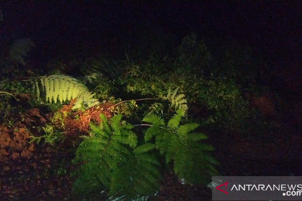 Hujan deras, jalan lintas Bengkulu - Kepahiang tertutup akibat longsor