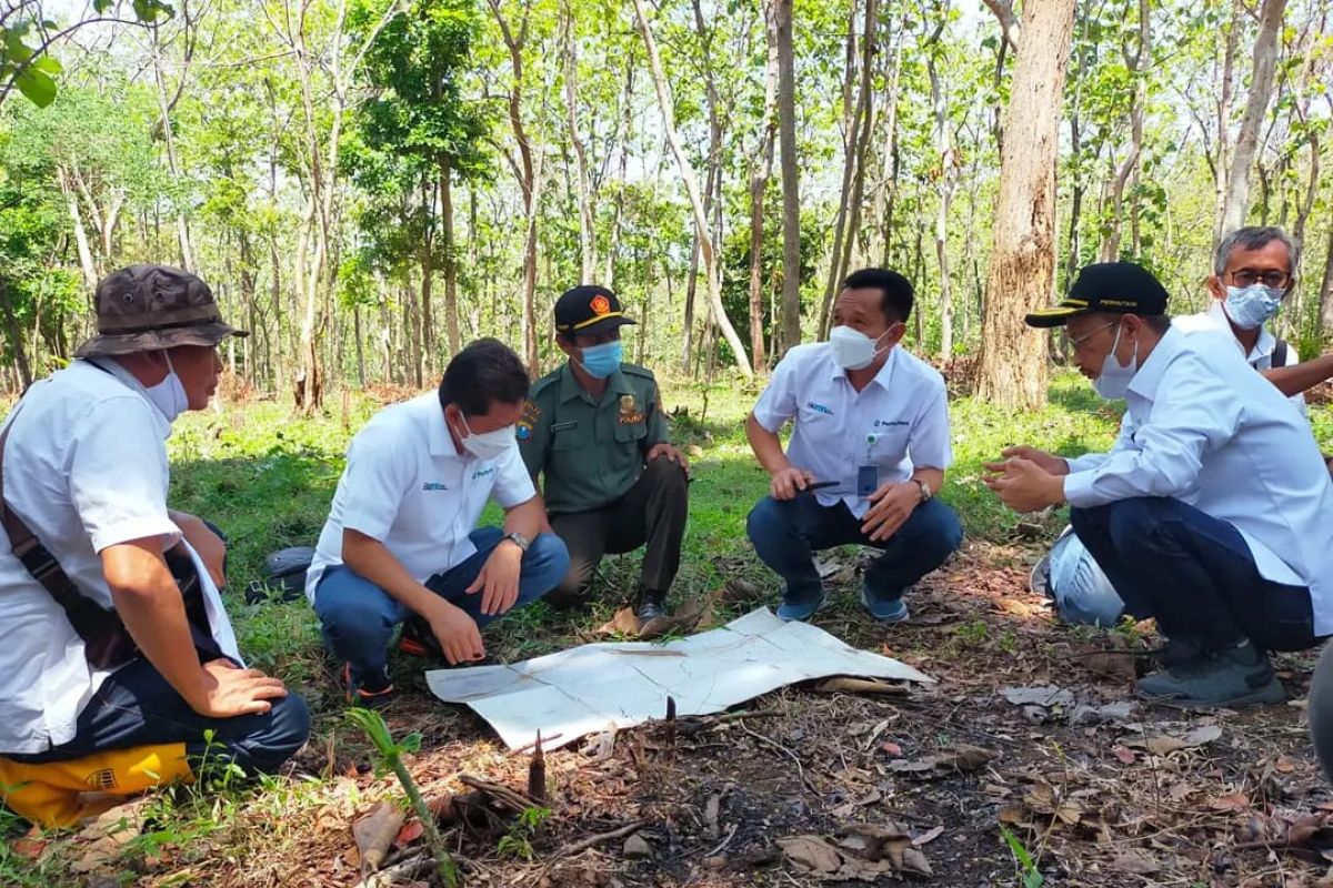 Perhutani  kawal serius program agroforestry tebu di Jatim