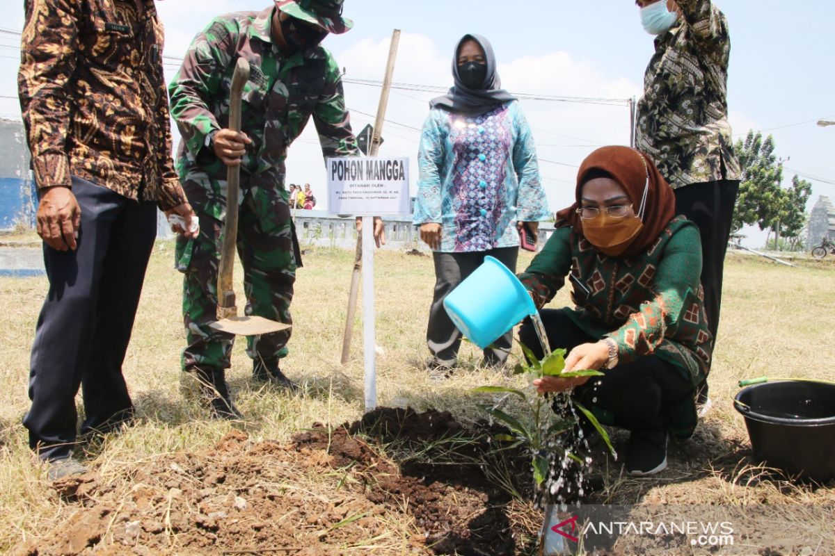 Wapres amanahkan Tanara dan Tirtayasa jadi sentra buah mangga