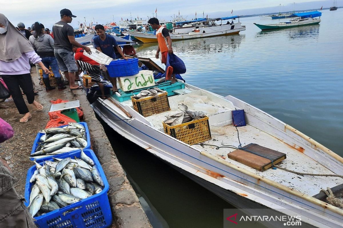 Ikan segar d kota Kendari mulai ramai namun harga masih tinggi