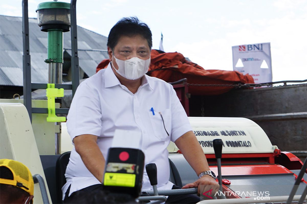 Menko Perekonomian ikut panen raya jagung di Gorontalo