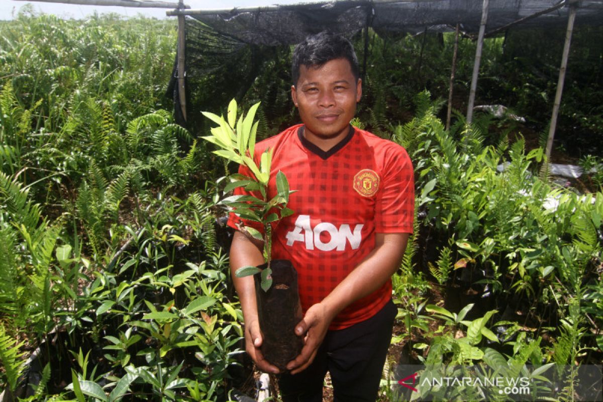 Bersinergi menjaga lahan gambut di Desa Kalibandung