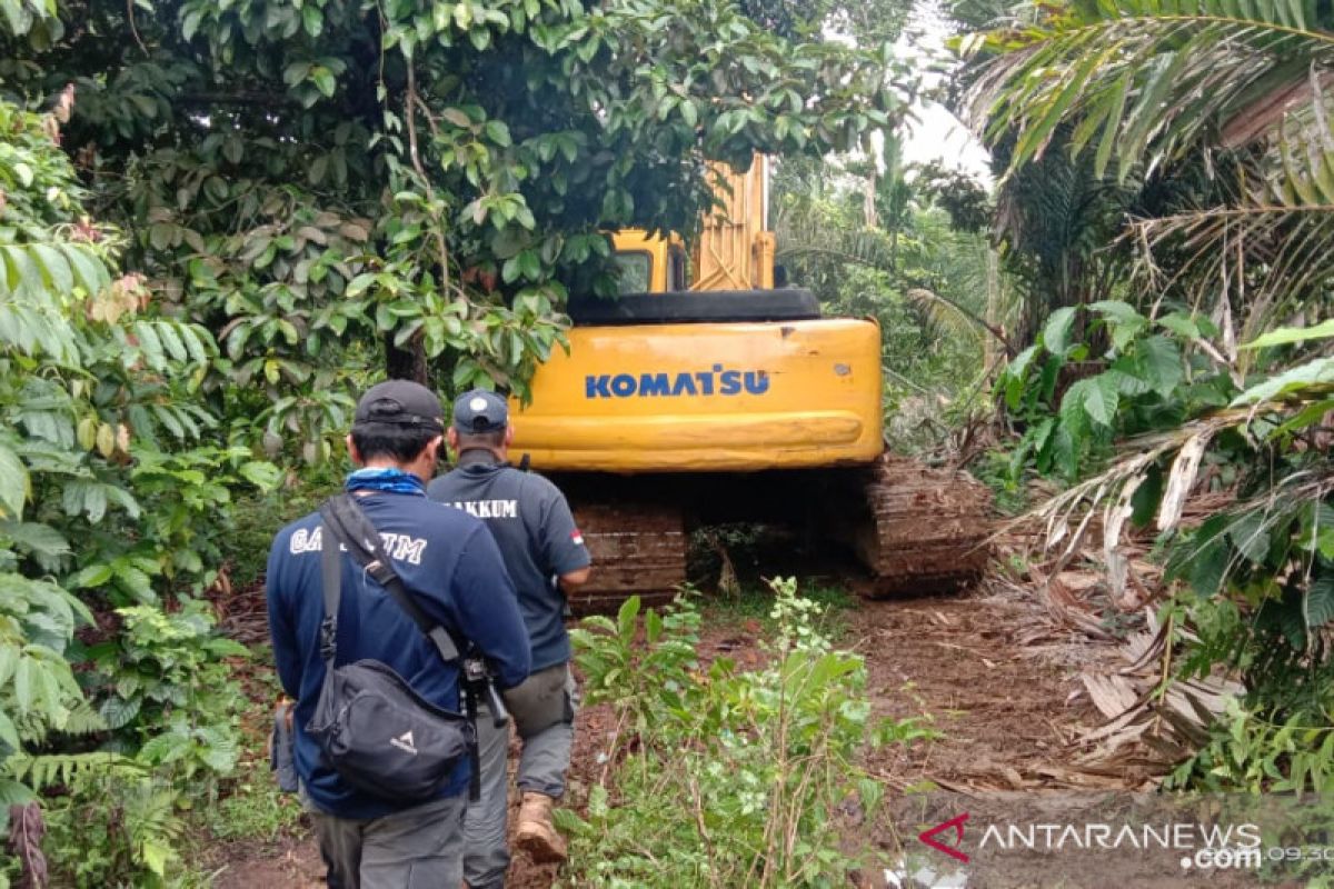 Ka Balai Gakkum LHK Sumatera : Alat berat telah diamankan, lalu kejar pelaku dan pemodal