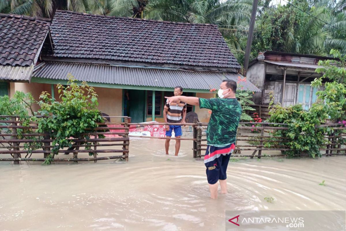 Hujan deras, 25 desa di Kabupaten Kaur Bengkulu terendam banjir