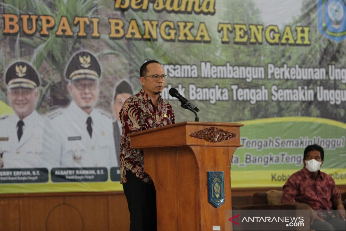 Pemkab Bangka Tengah luncurkan layanan darurat kesehatan