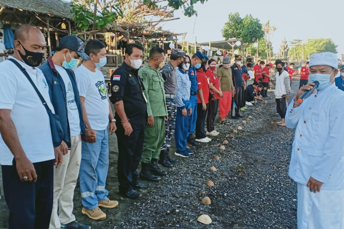 Lanal Denpasar melepasliarkan ratusan ekor tukik di Buleleng Bali