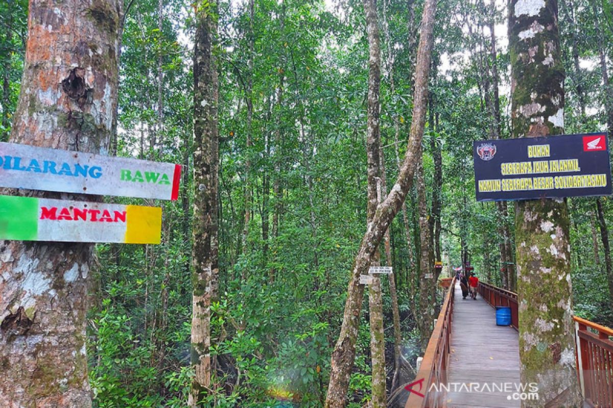 "Dilarang bawa mantan" di ekowisata mangrove Pomako Mimika