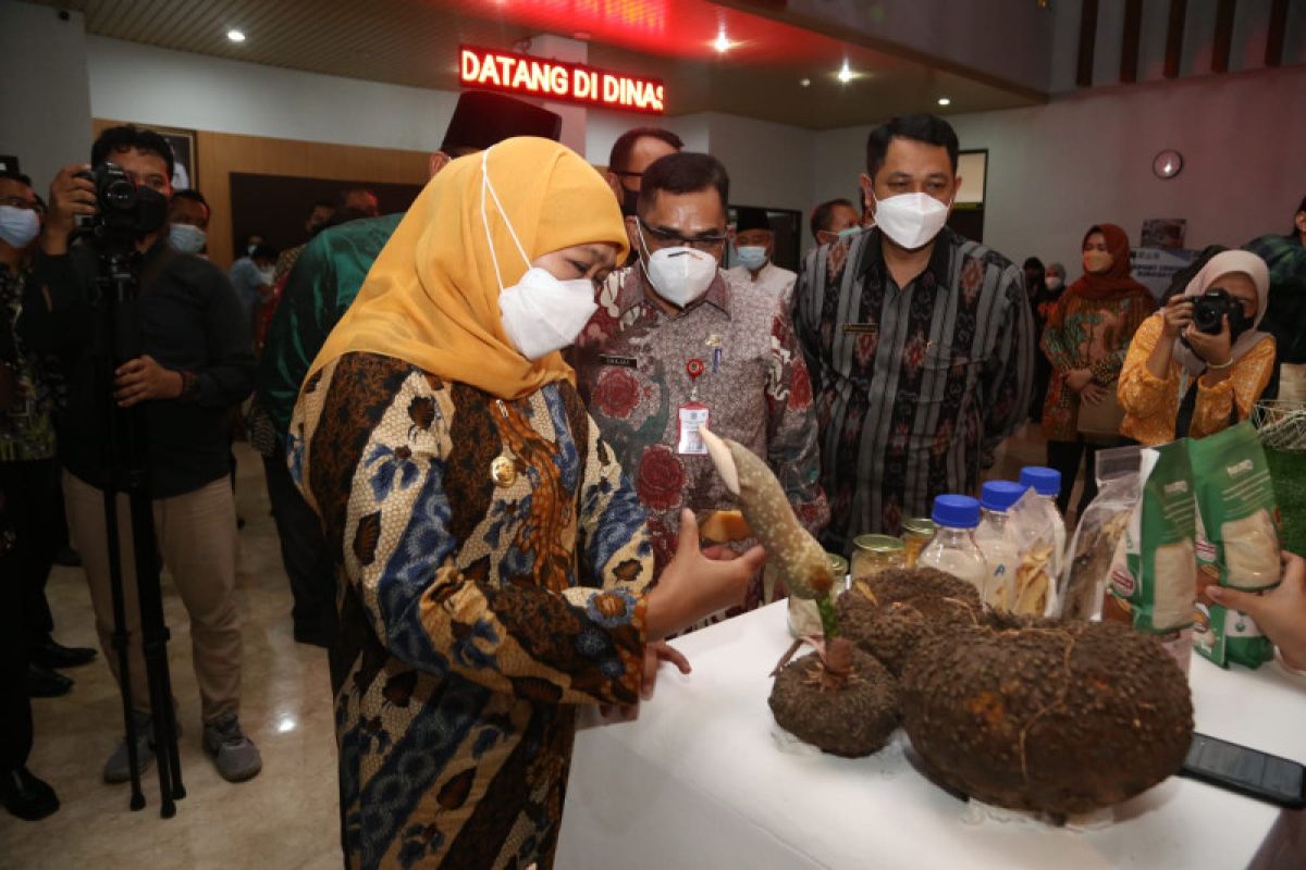 Gubernur Jatim anjurkan beli batik asli bukan batik cetak